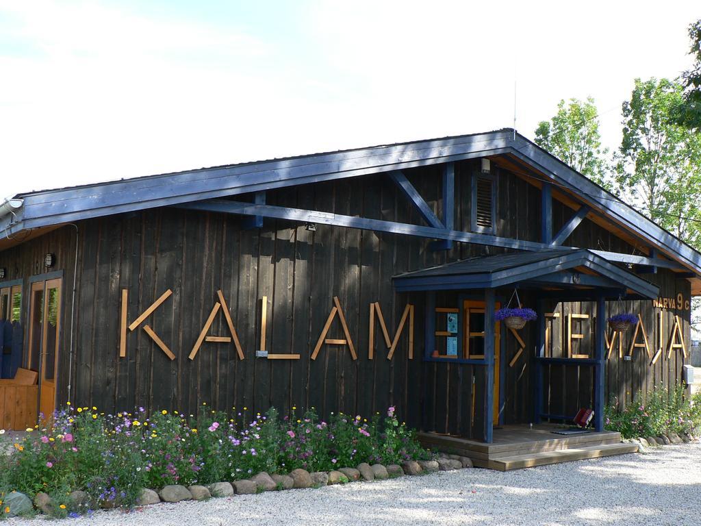 Hostel Kalameeste Maja Mustvee Exteriör bild