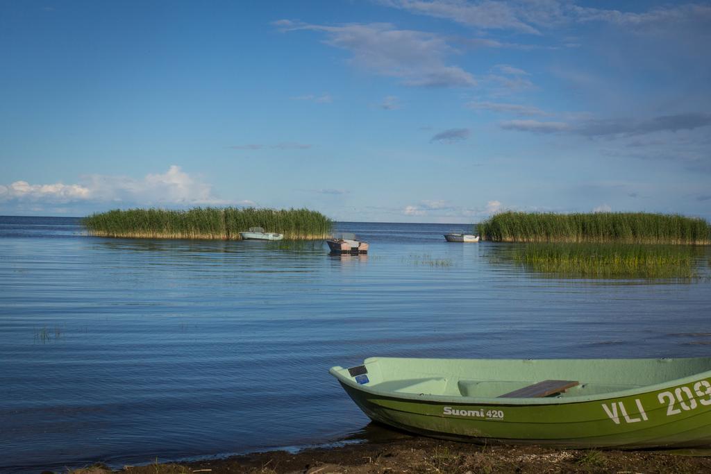 Hostel Kalameeste Maja Mustvee Exteriör bild